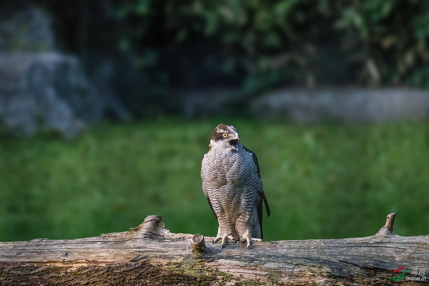 DSCF4969-2.jpg