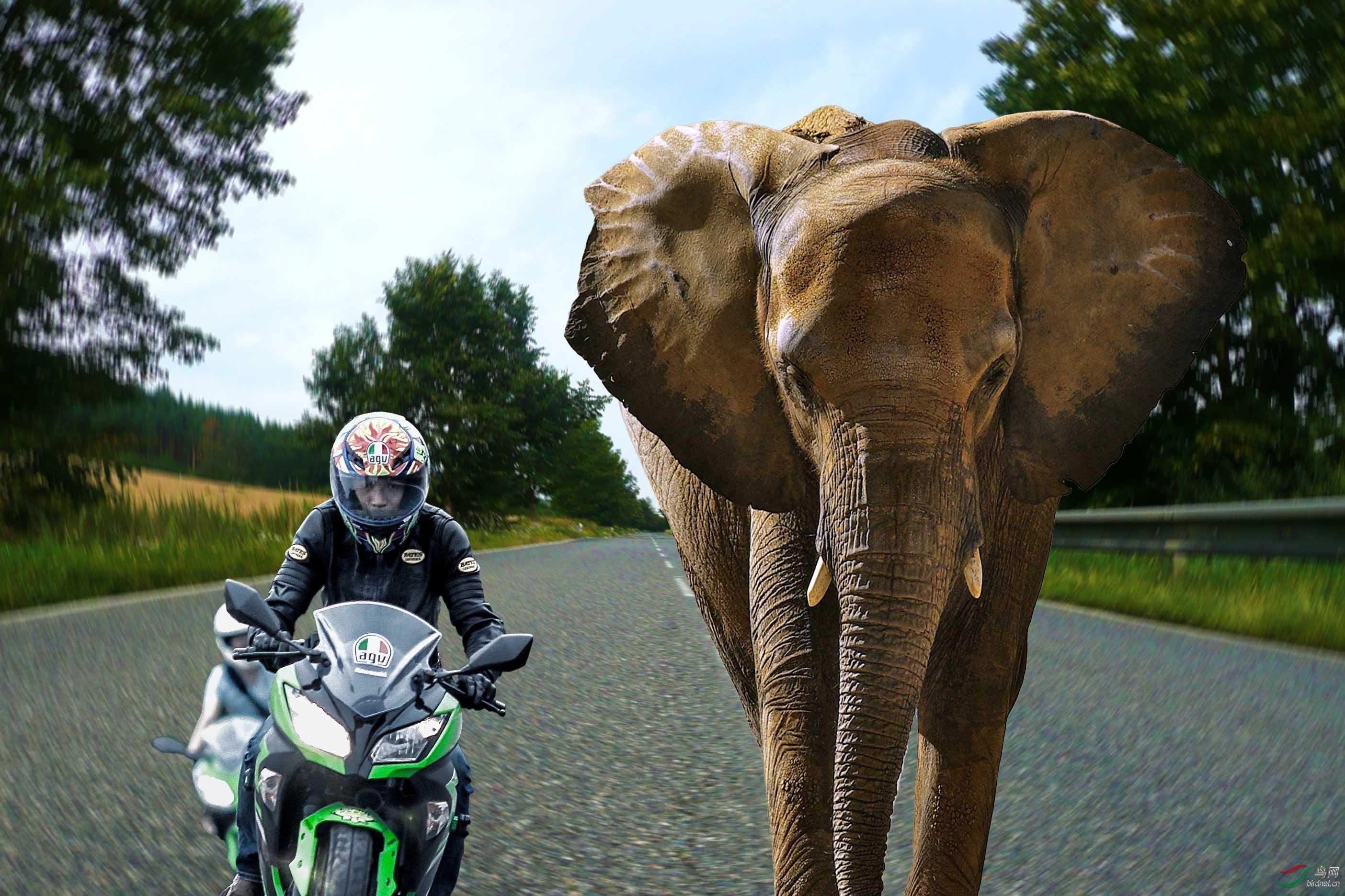 ��ͨ������� 500k.jpg