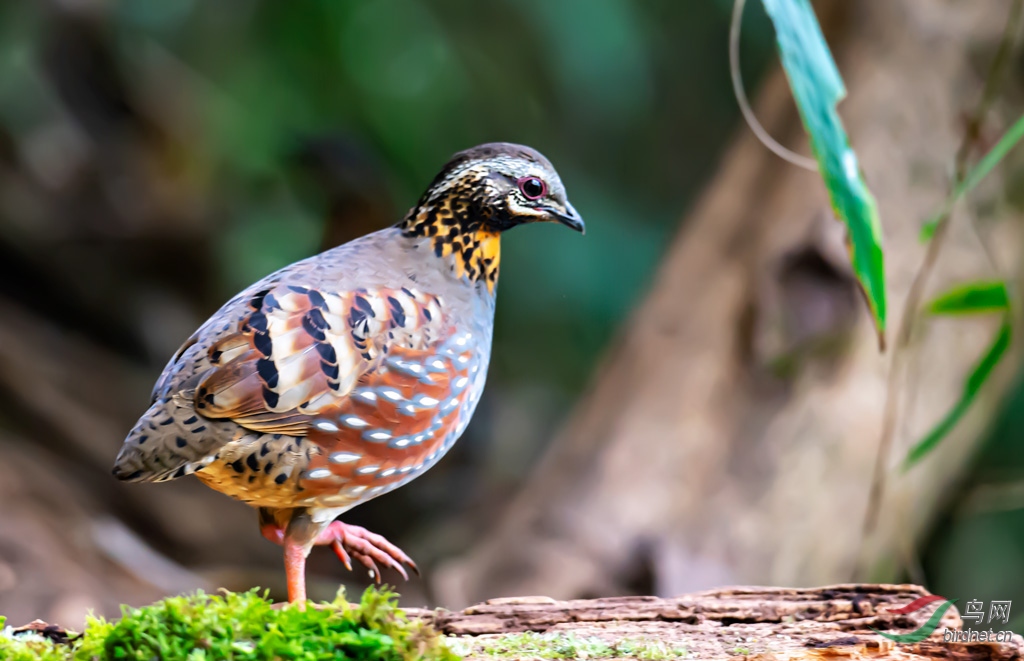 DSC_3311-0.jpg
