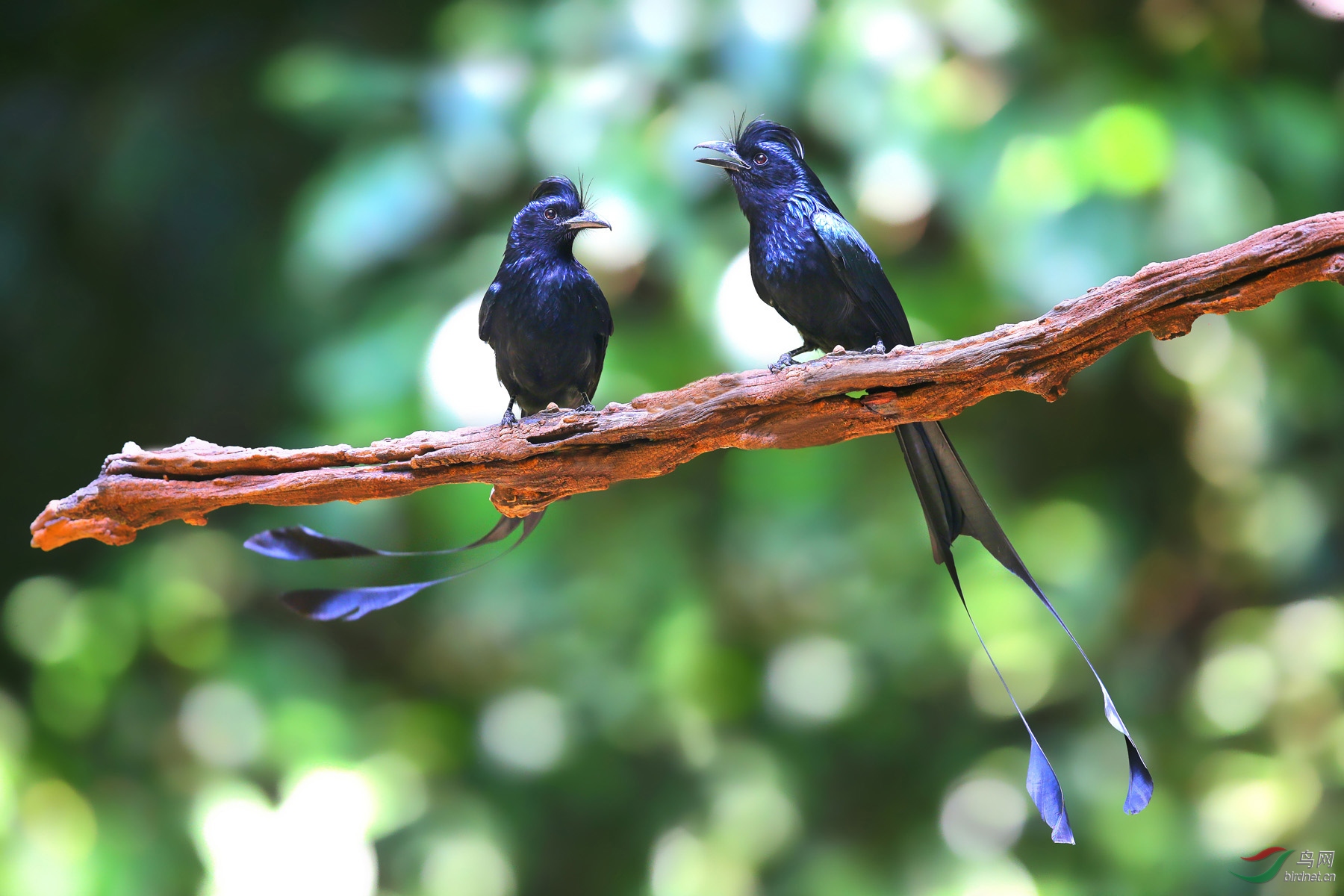 P3.  ��ϲ���ȵ������Ҹ�����֧��ɡ�  Ը��������ɡ�.jpg