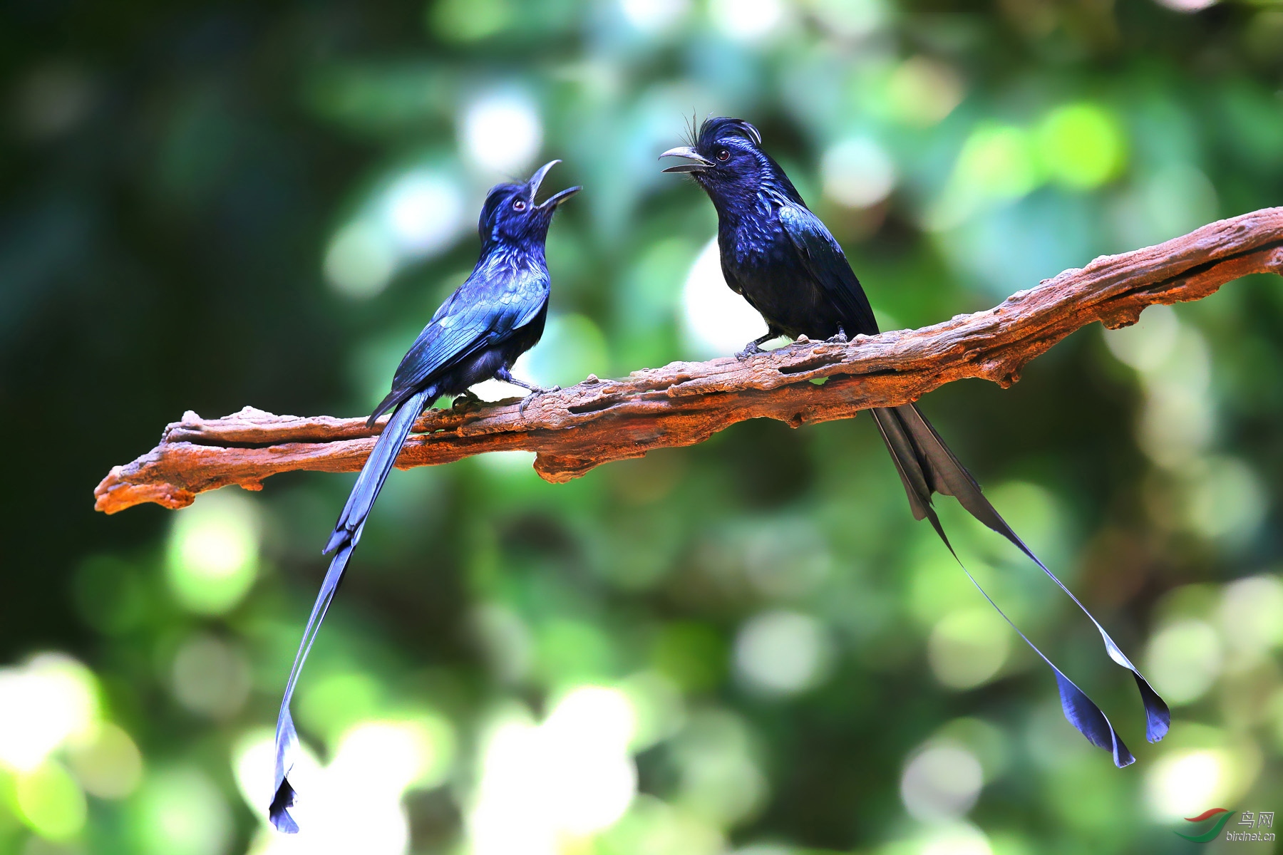 P4.  ��û�����������Ĵ�硣 ����������˰ɣ�.jpg