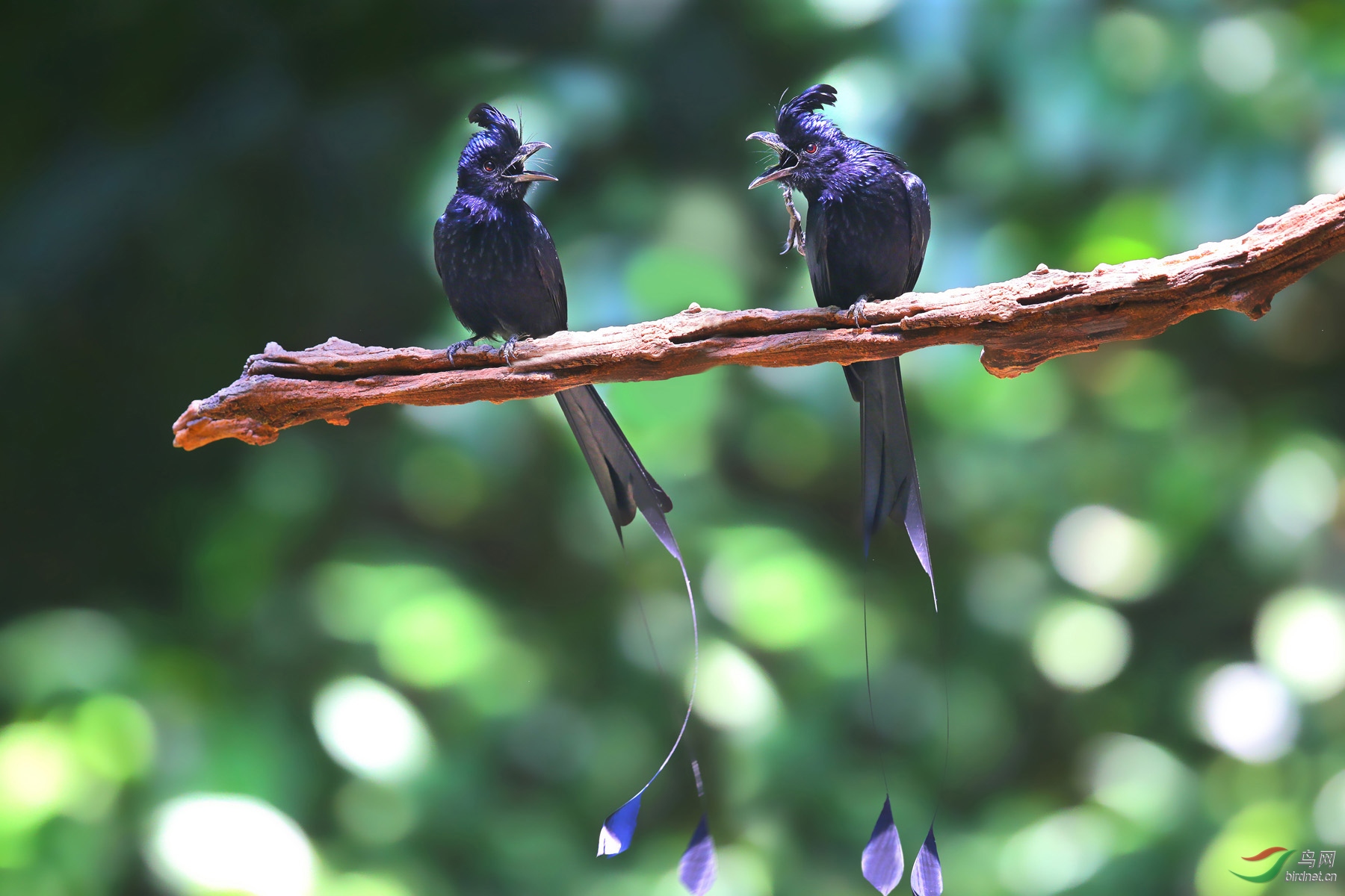 P5.  ��ûȤ��  ��û������������Ҫ���ġ�.jpg