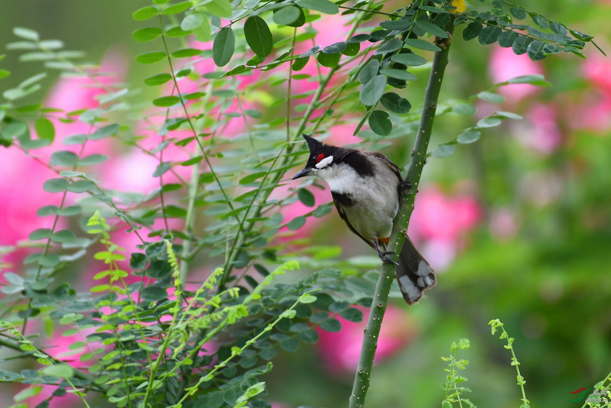 DSC_2941.JPG