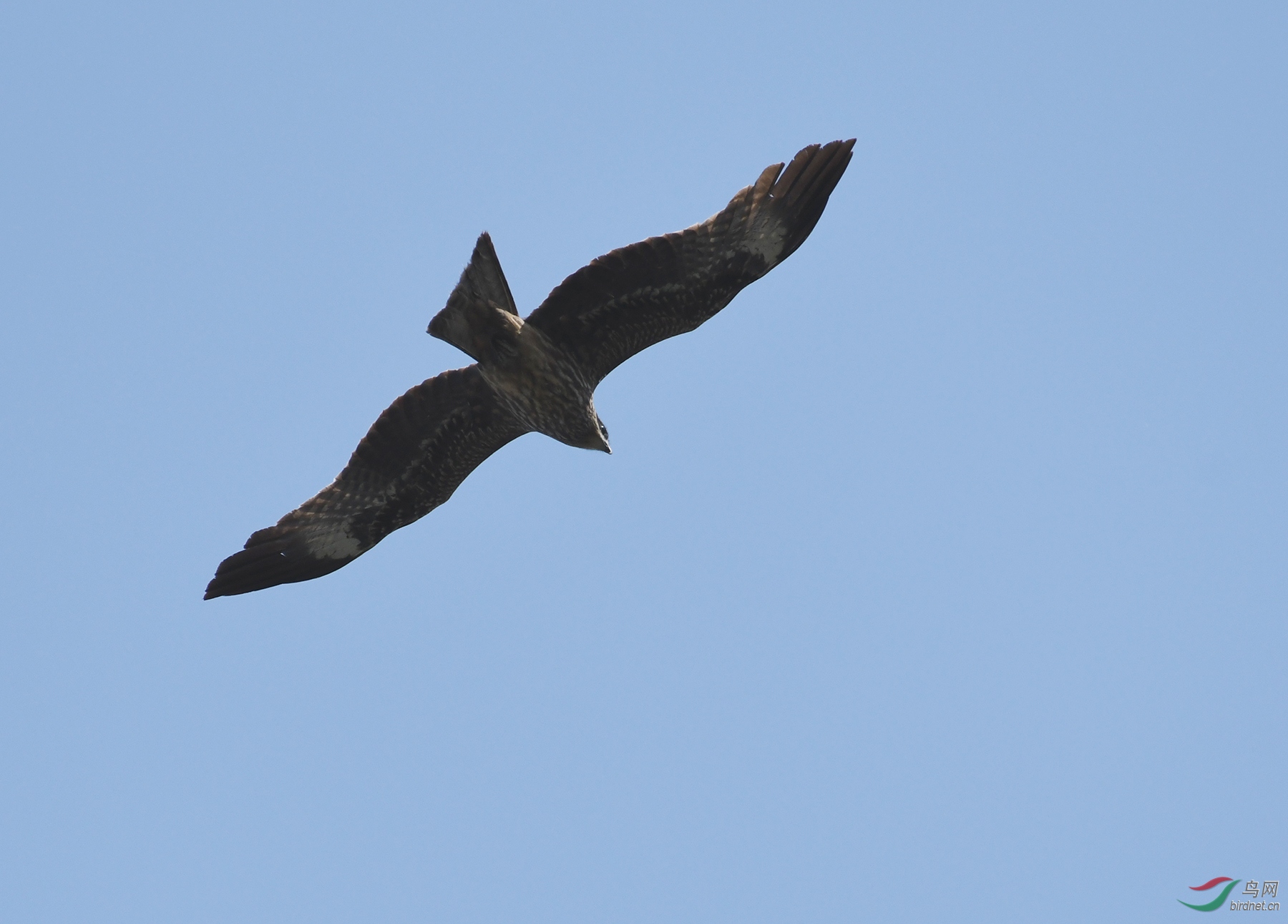 ������Ӱ 1679����.jpg