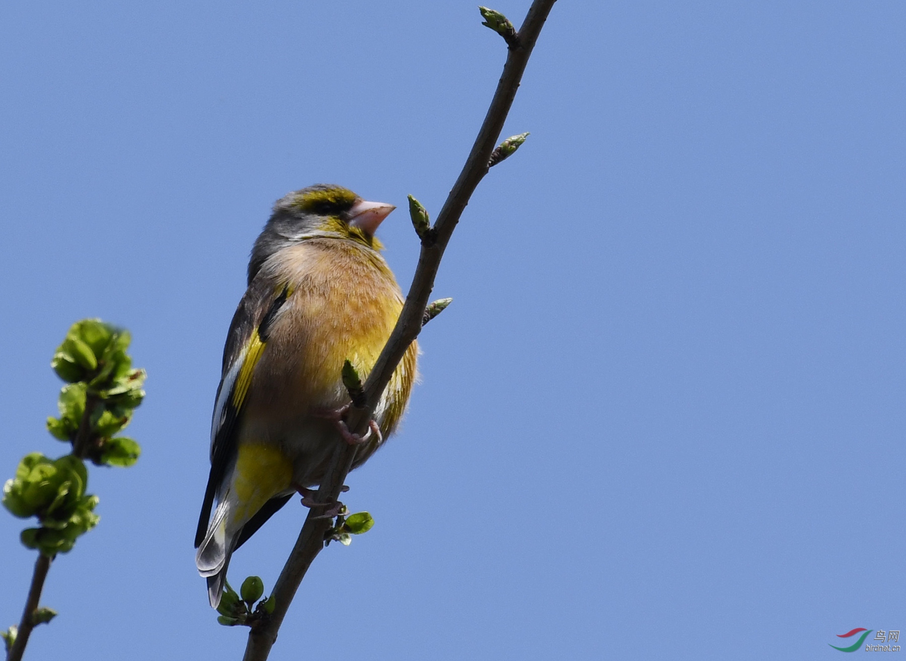 ������Ӱ 177����.jpg