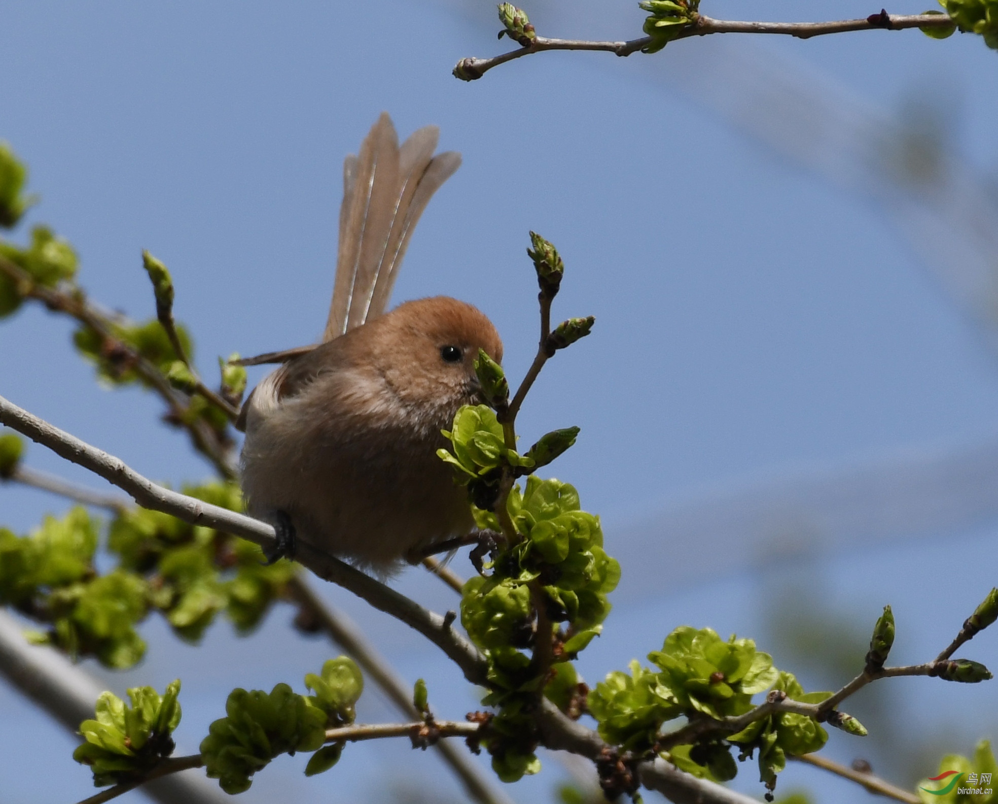 ������Ӱ 854����.jpg