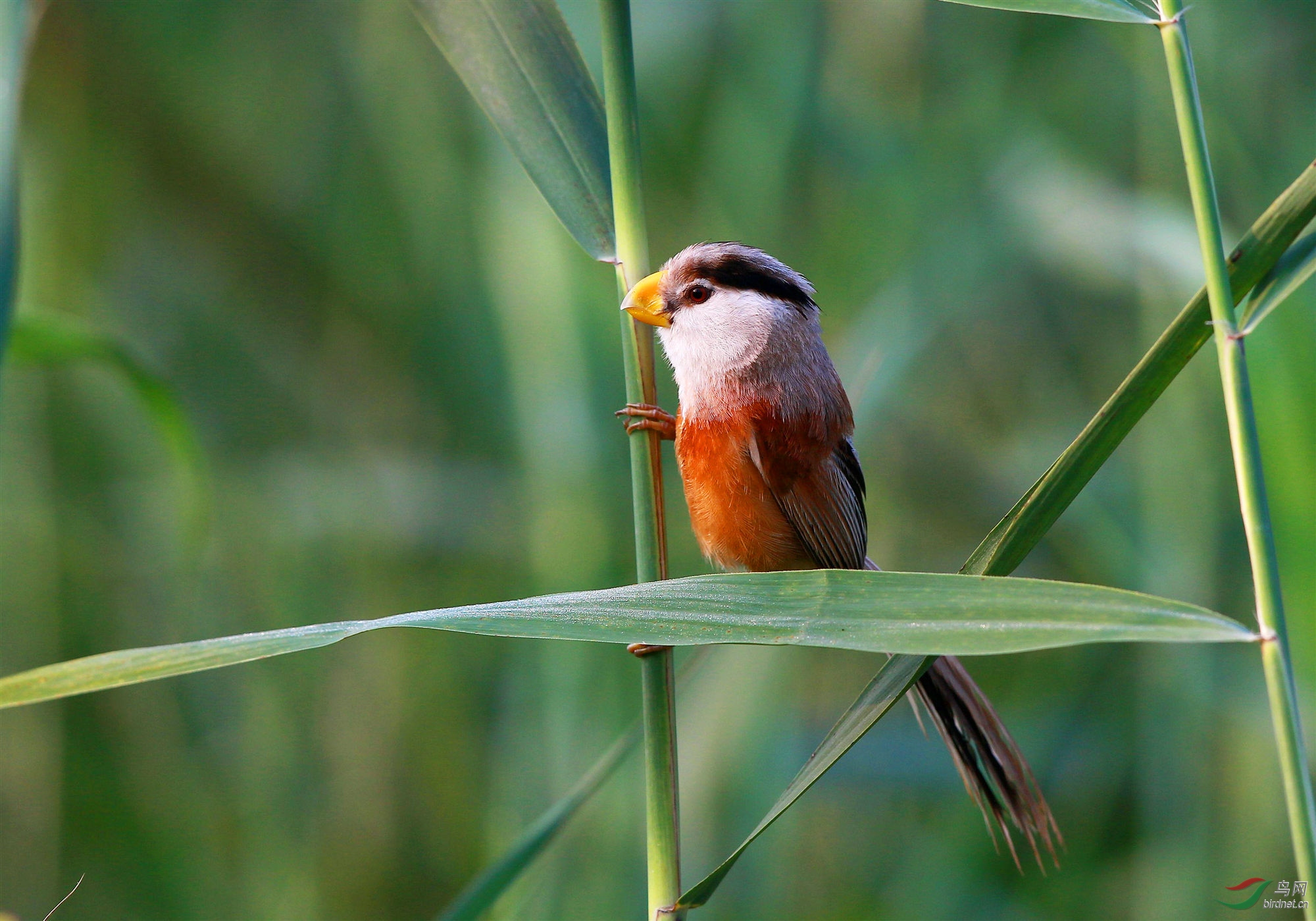 H46R6445_����_���� (2).jpg