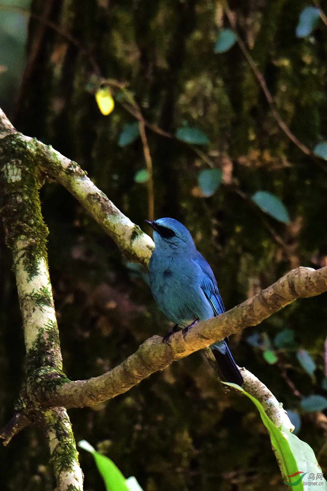 DSC_0755.JPG