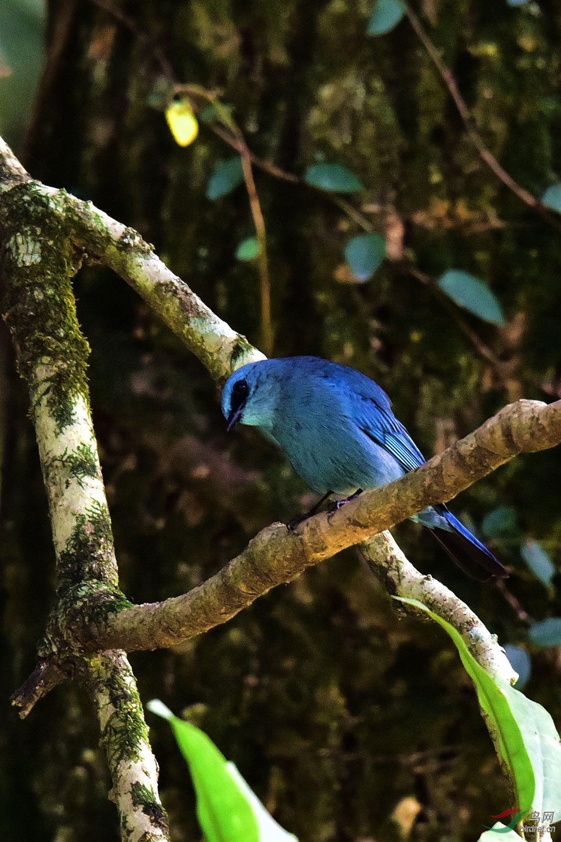 DSC_0758.JPG