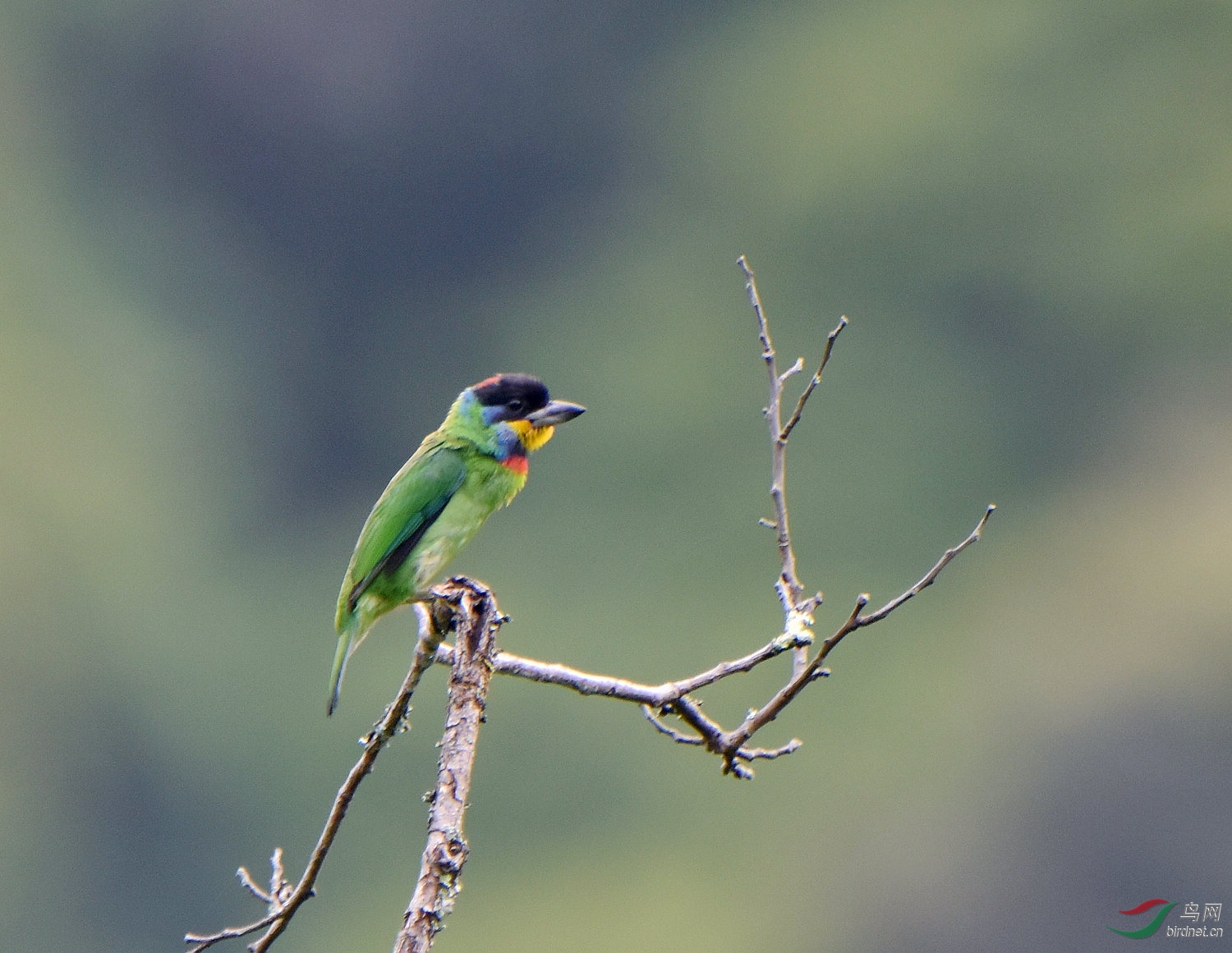 D8I_5940.jpg