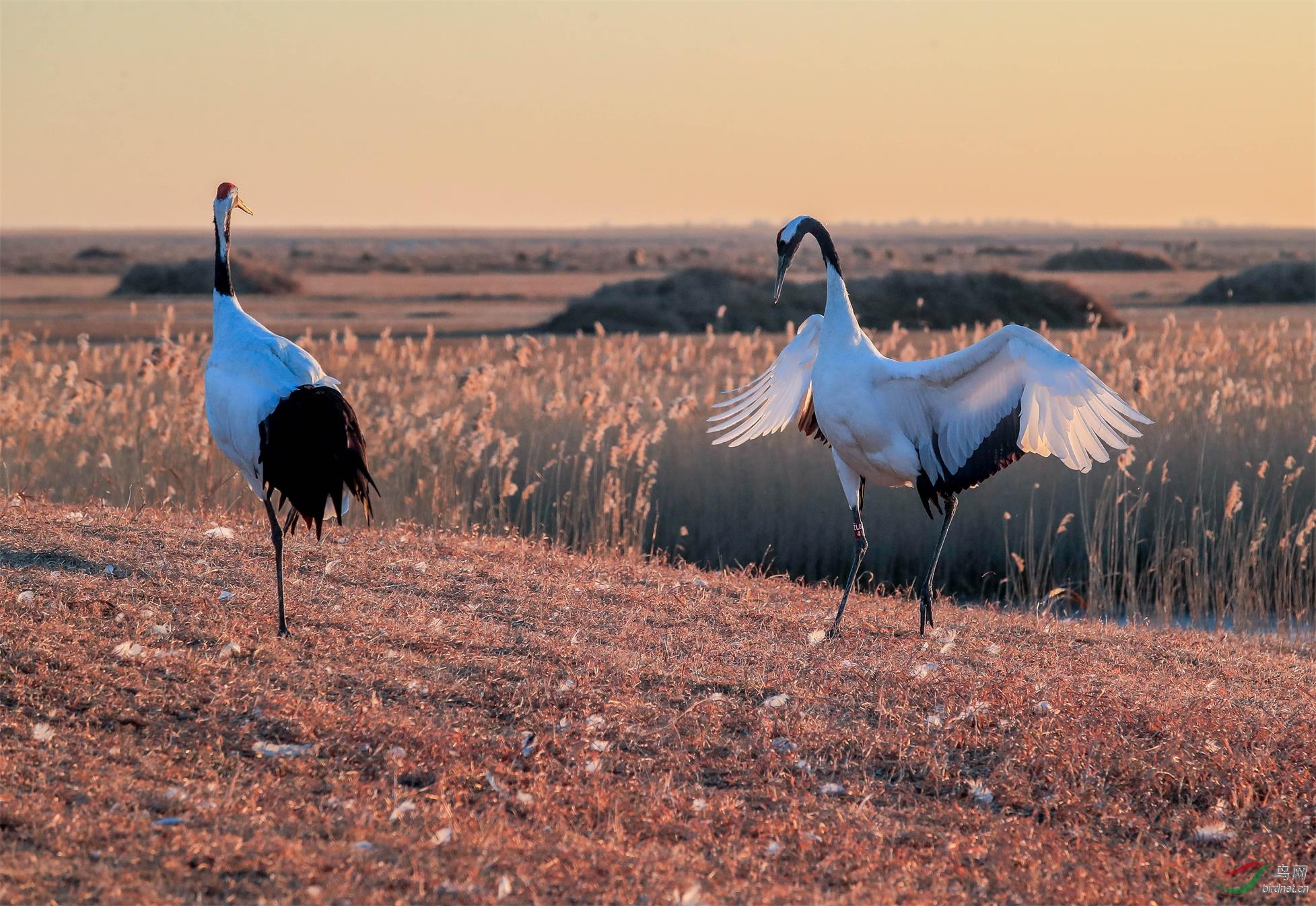 06 «��֮��          ������               13846292088.jpg