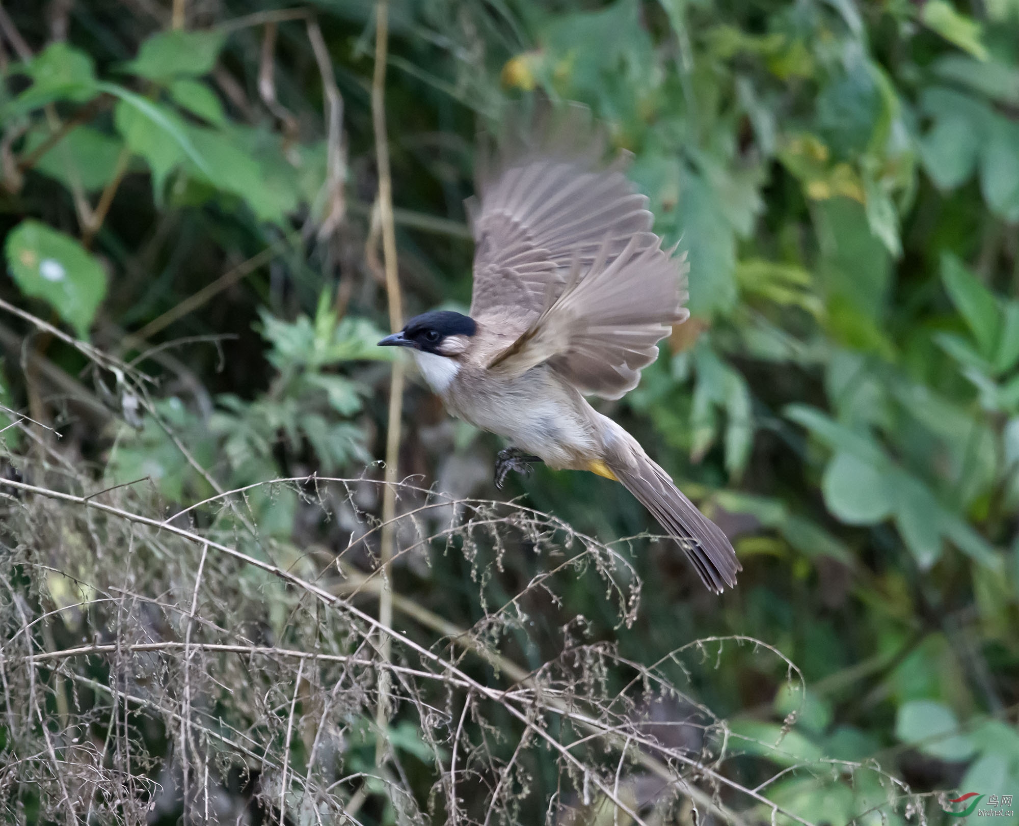 DSC_4374.jpg