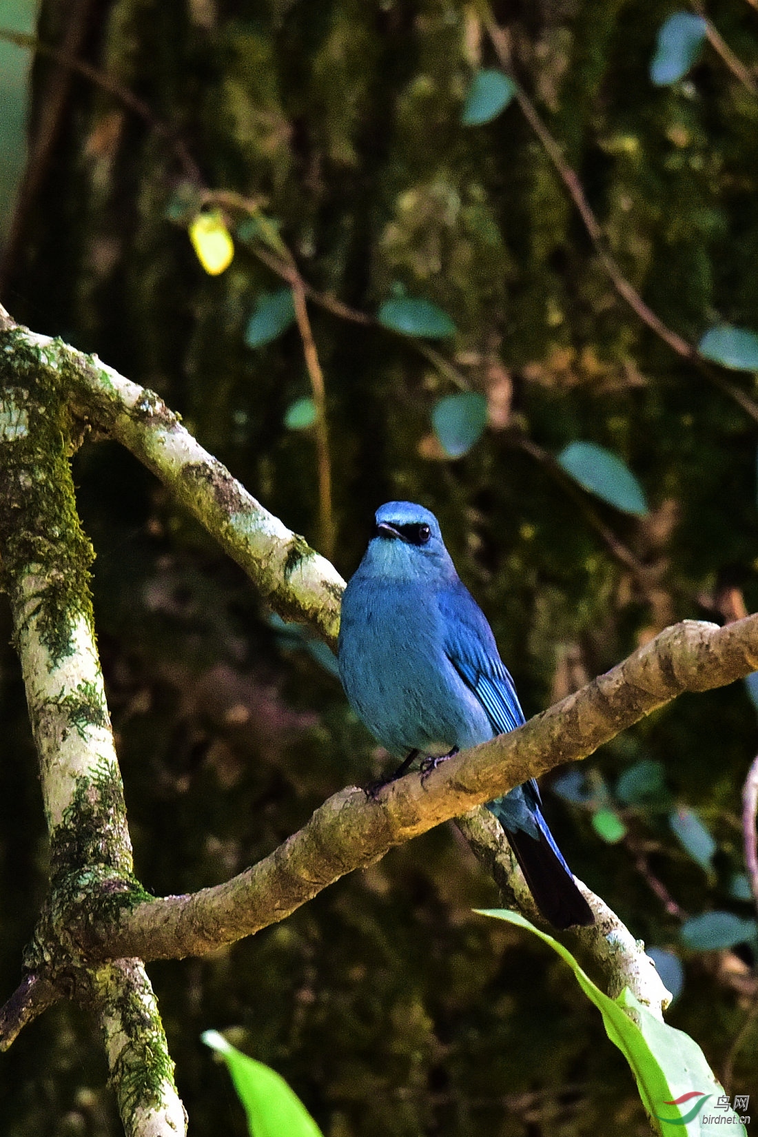 DSC_0761.JPG