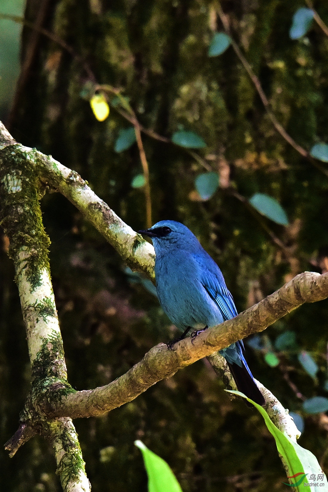 DSC_0762.JPG