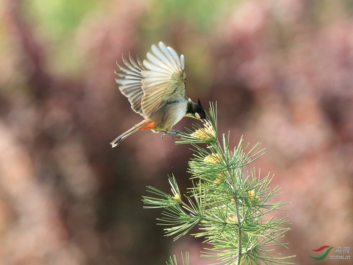 DPP_3124 - ����.jpg