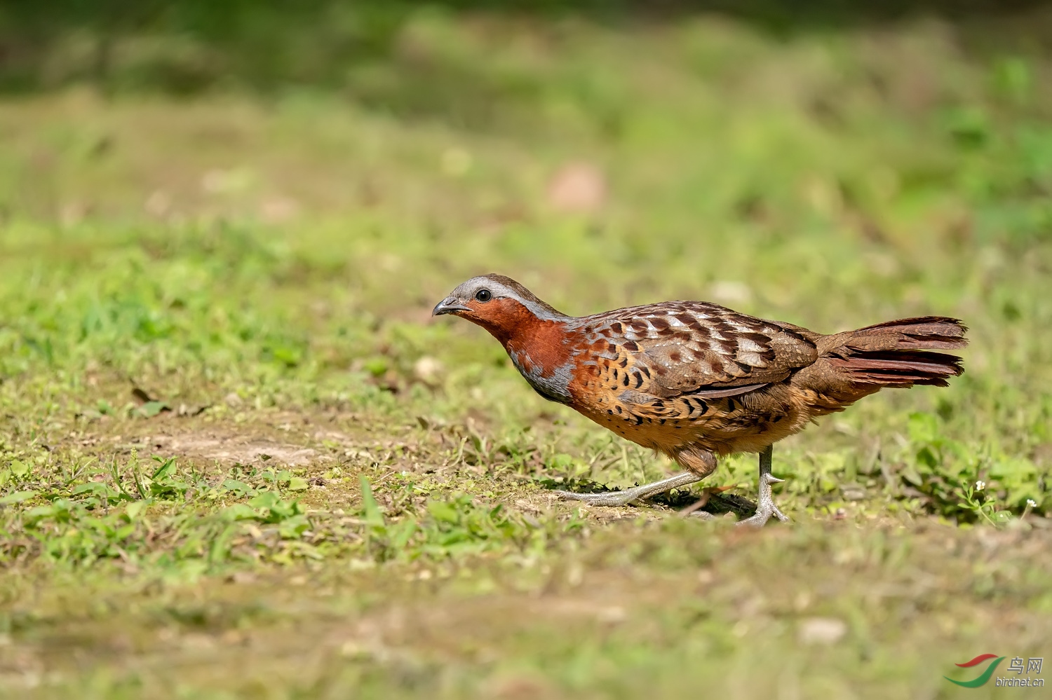 A9D09685a.jpg