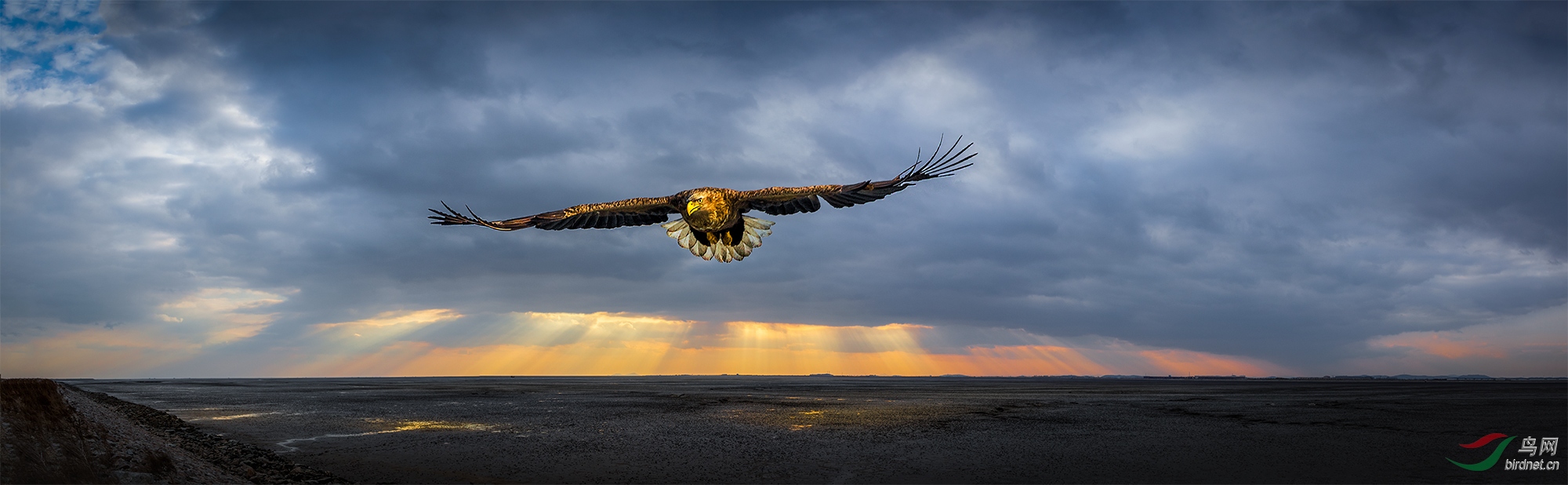 RAW-Picture-1445824-��Ƭ.jpg-k.jpg