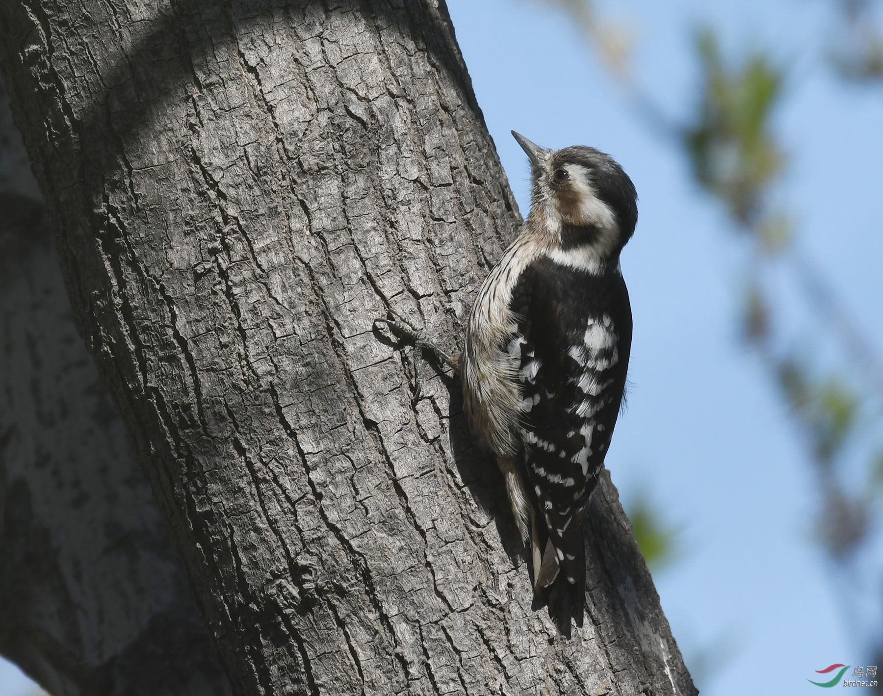 ������Ӱ 136����.jpg