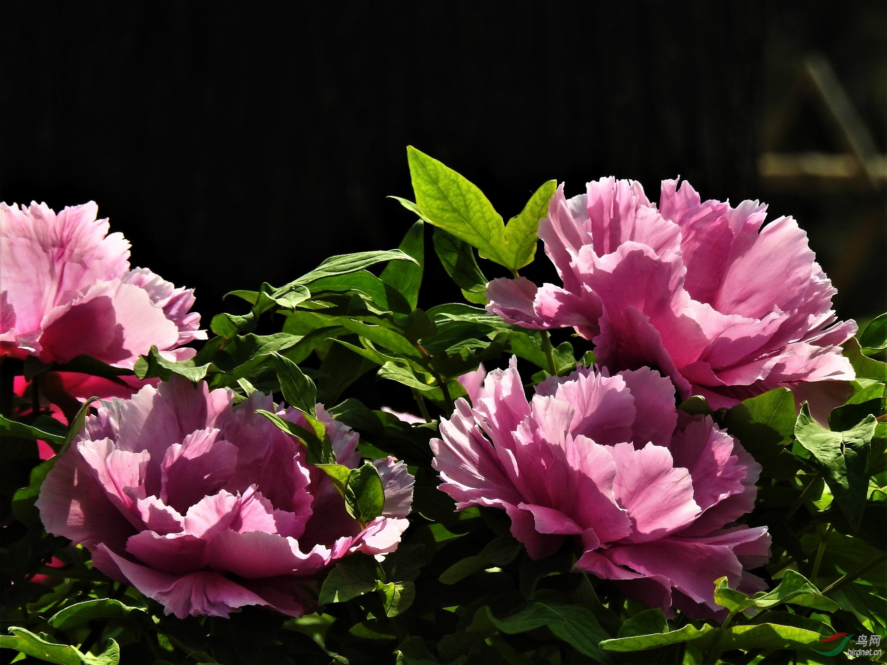 DSCN2730.JPG