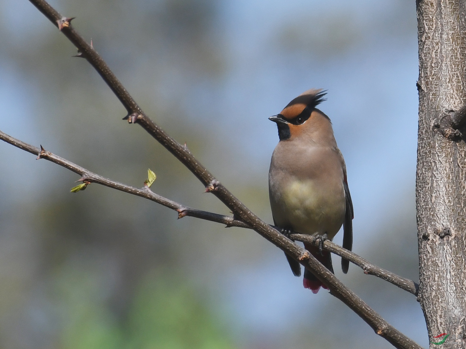 ������Ӱ 374����.jpg