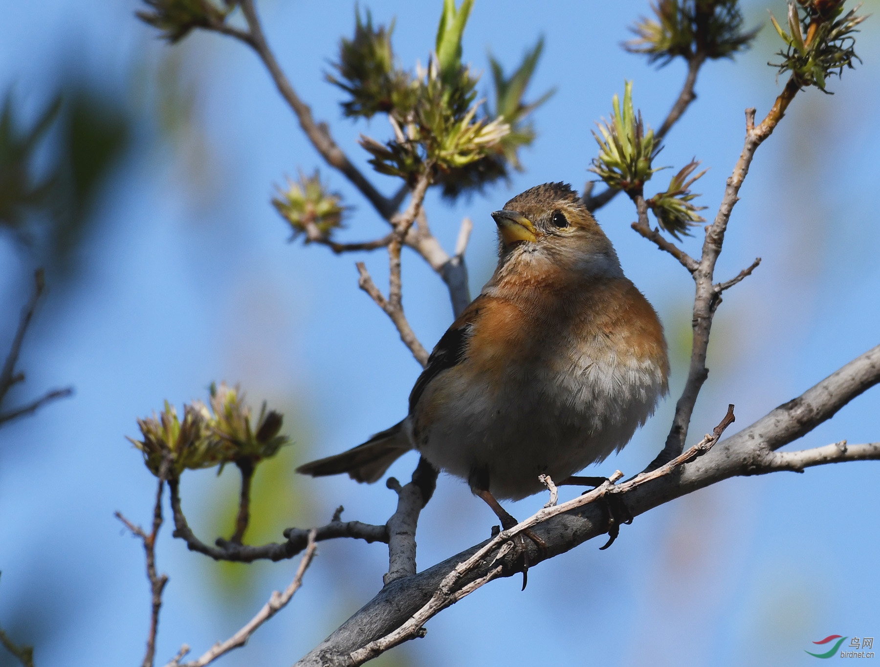 ������Ӱ 096����.jpg