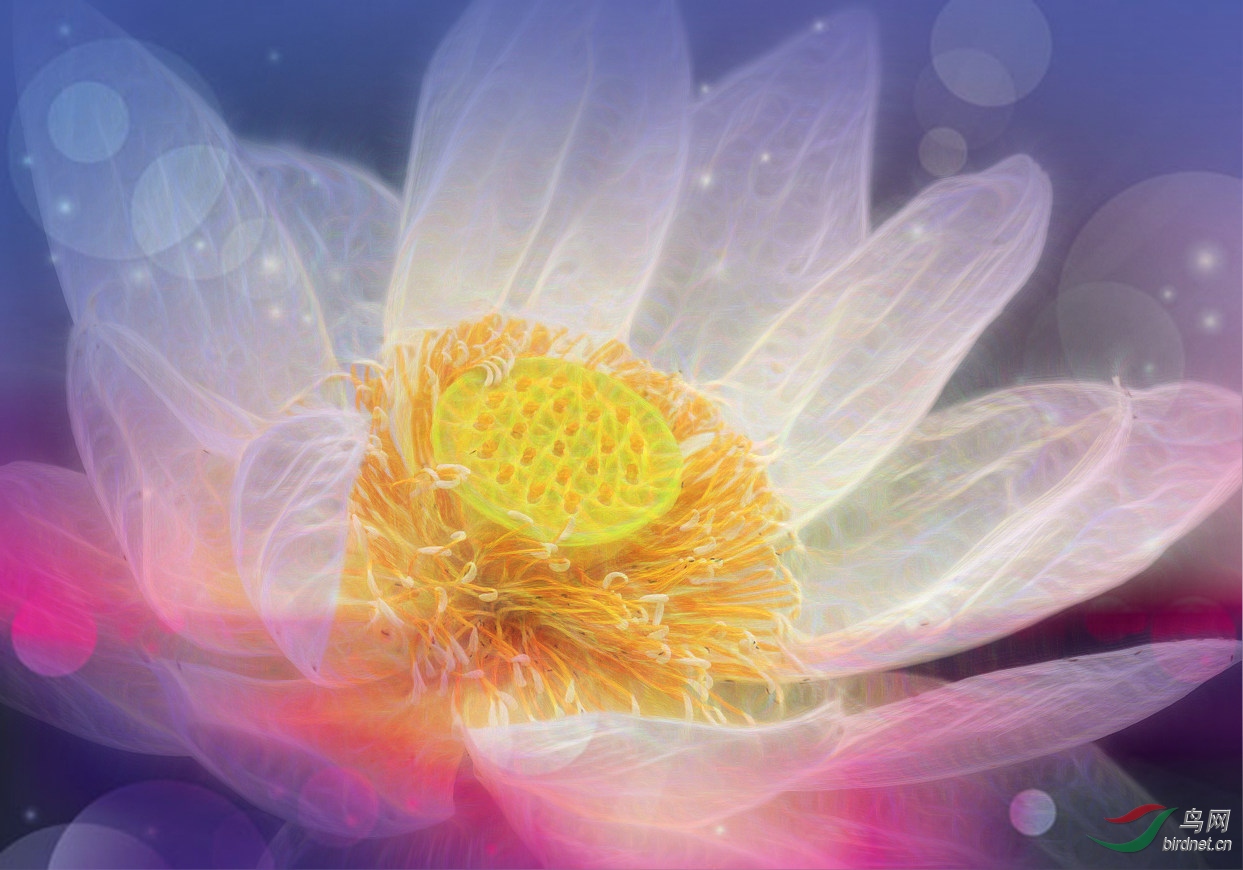 IMG_0420 ����.jpg