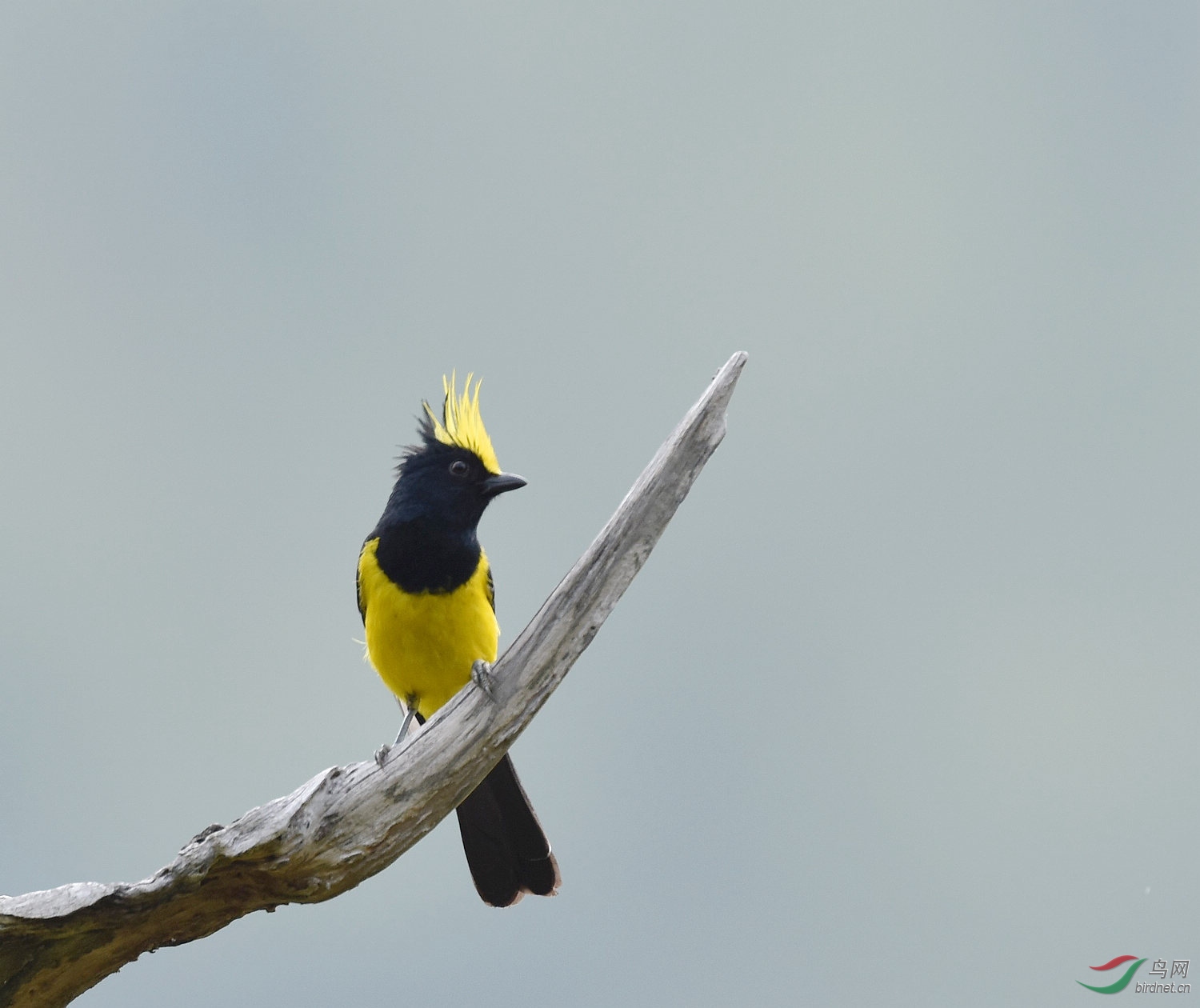 D8I_5006.jpg