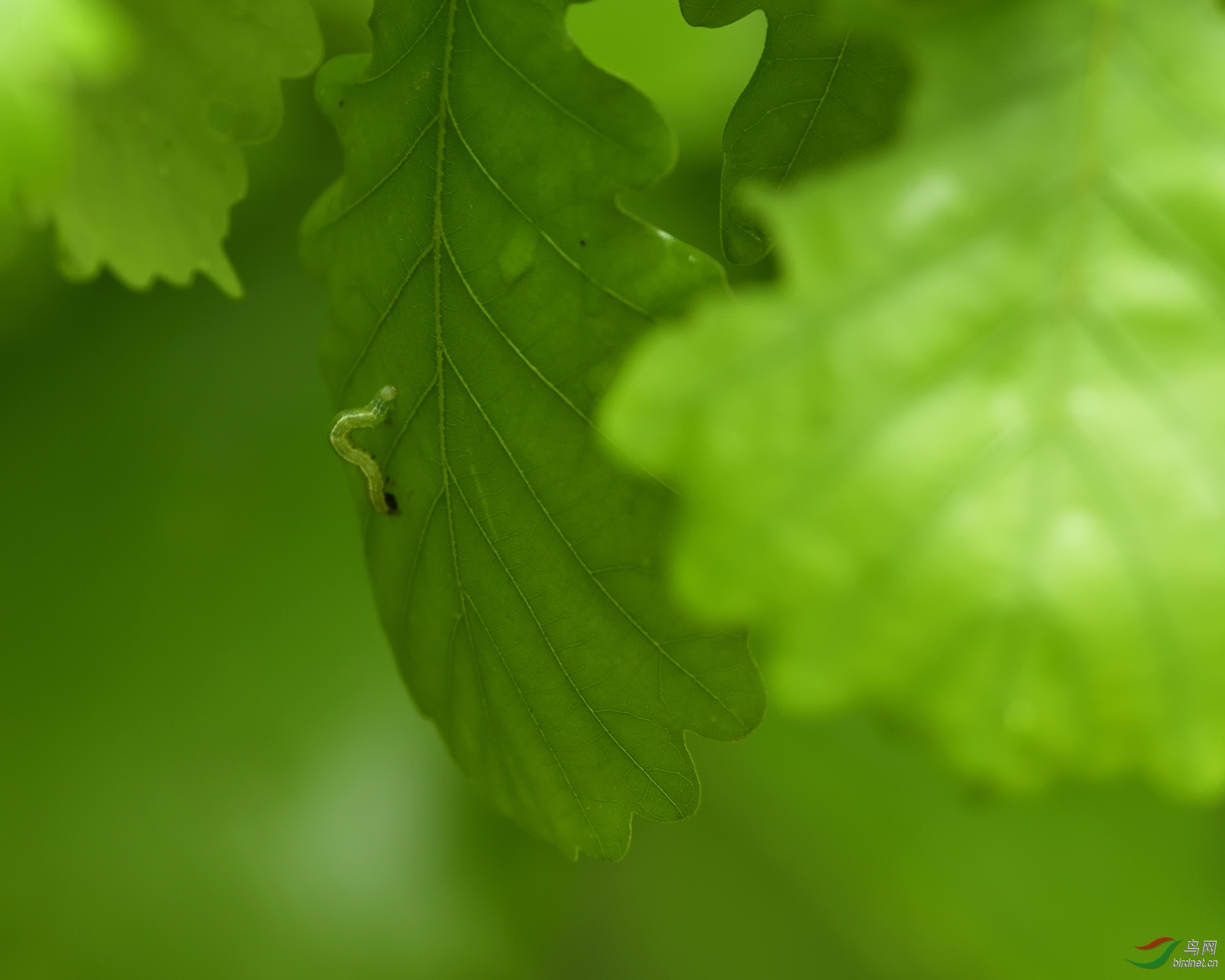 _DSC2504_00001_02.jpg