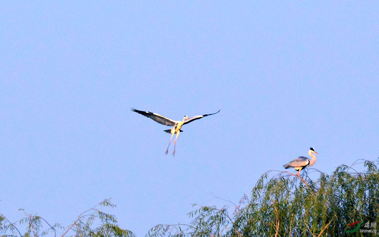 DSC_3468.JPG