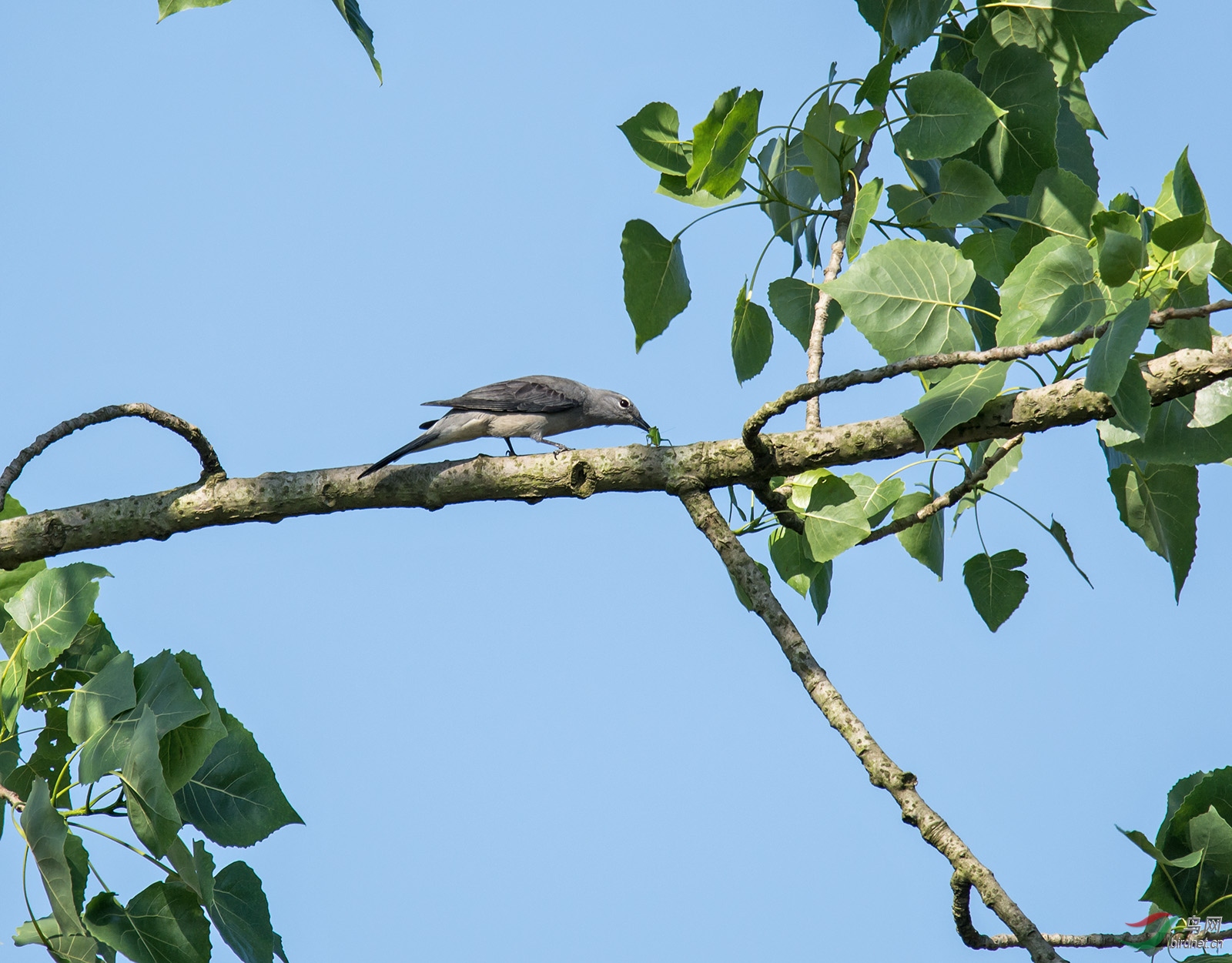 DSC_4689.jpg