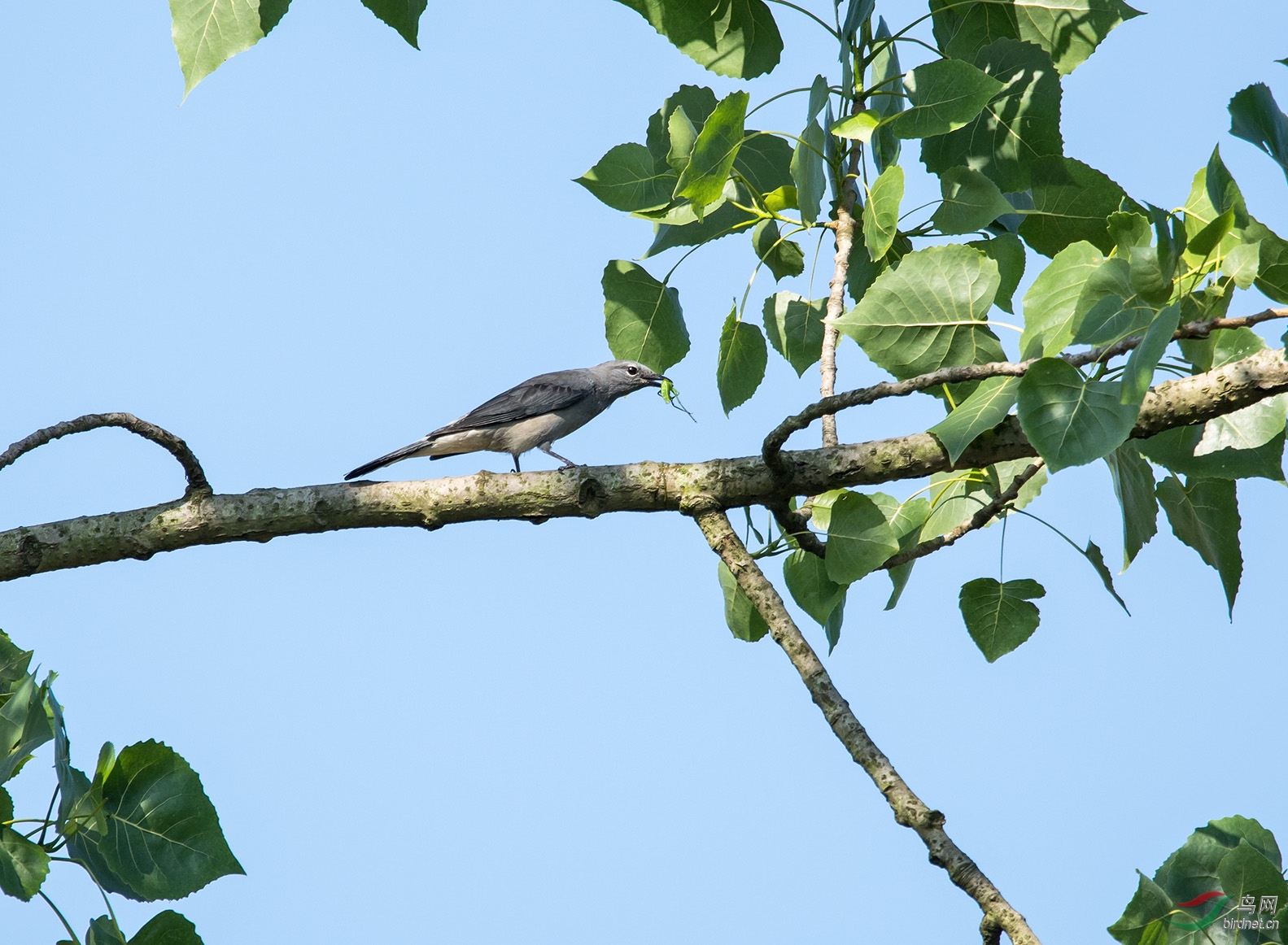 DSC_4693.jpg