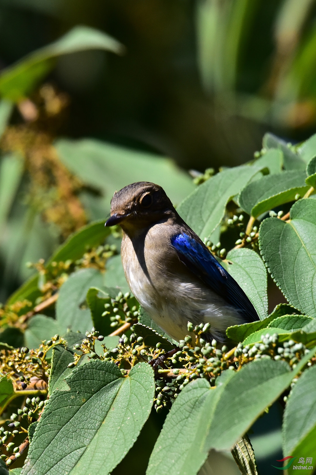 DSC_0783.JPG