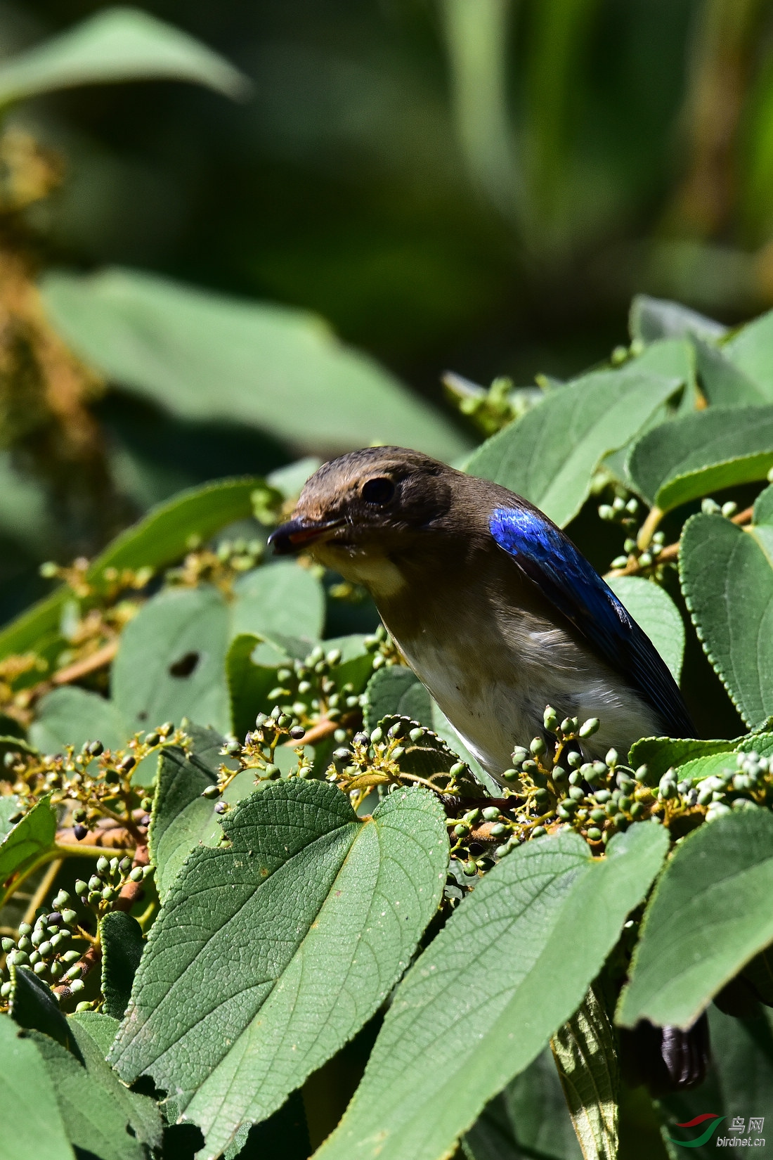 DSC_0785.JPG