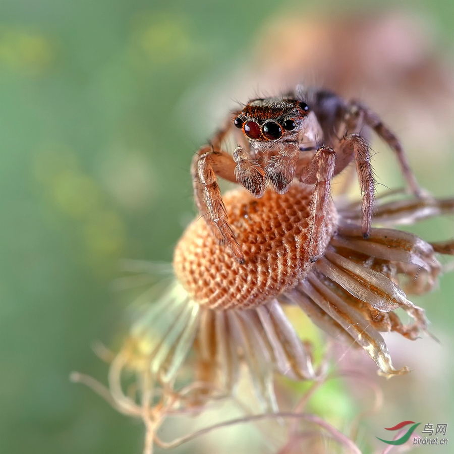 DSC00922_����.jpg