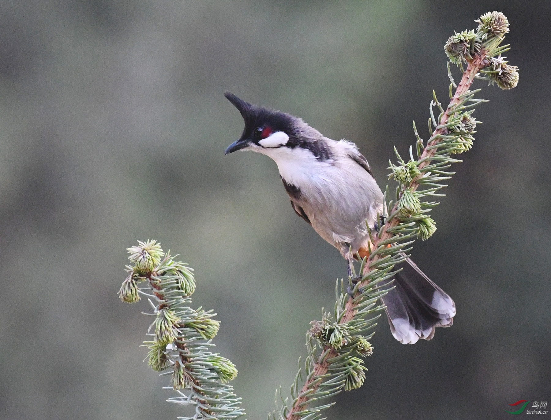 ������Ӱ 440����.jpg