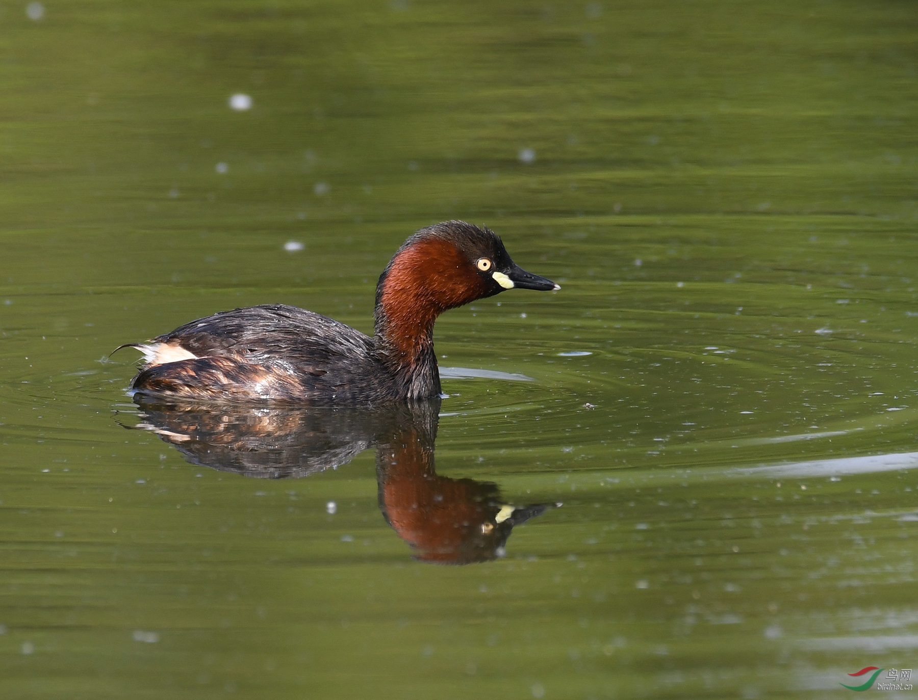 ������Ӱ 2192����.jpg