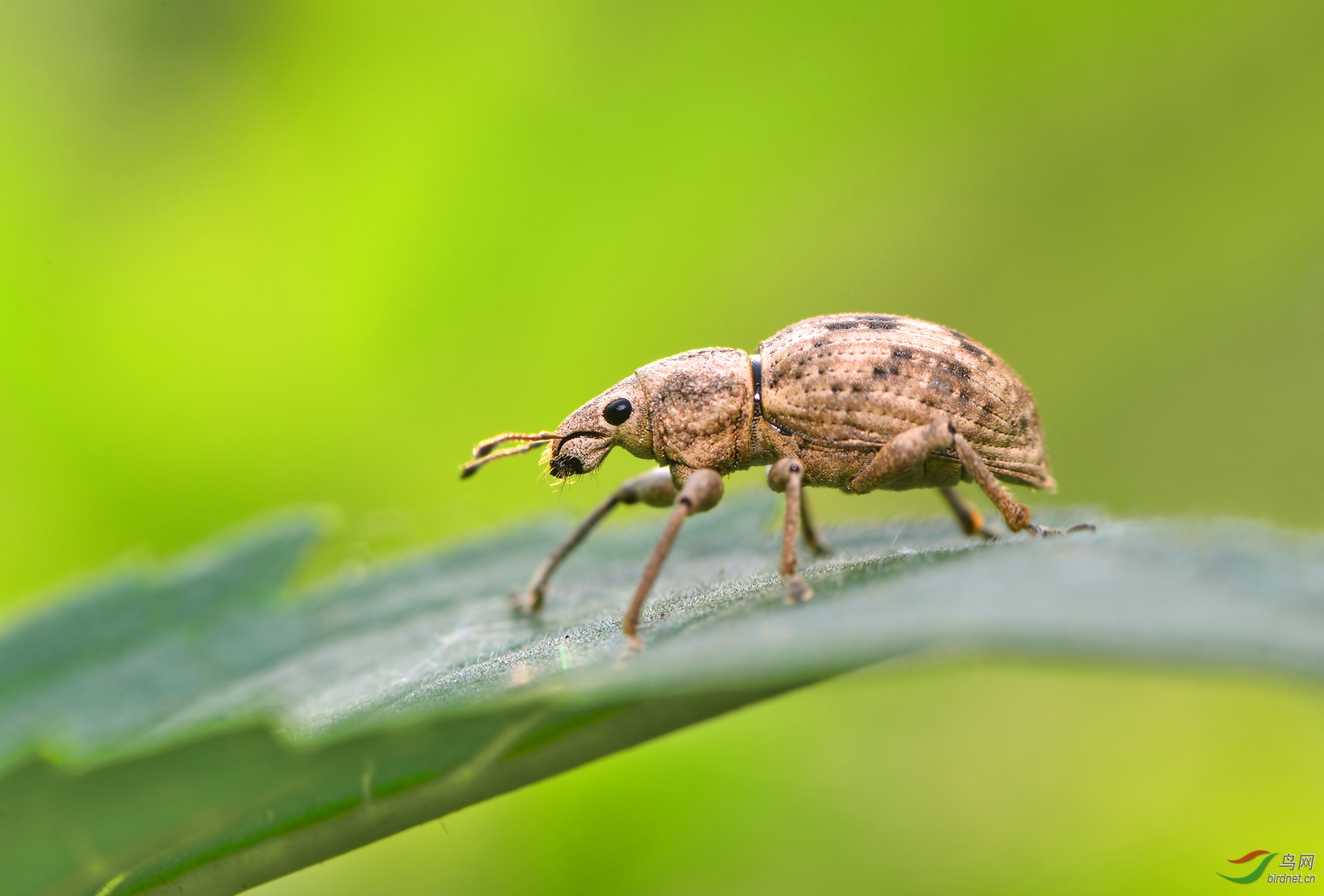 DSC_7408 ��������.jpg