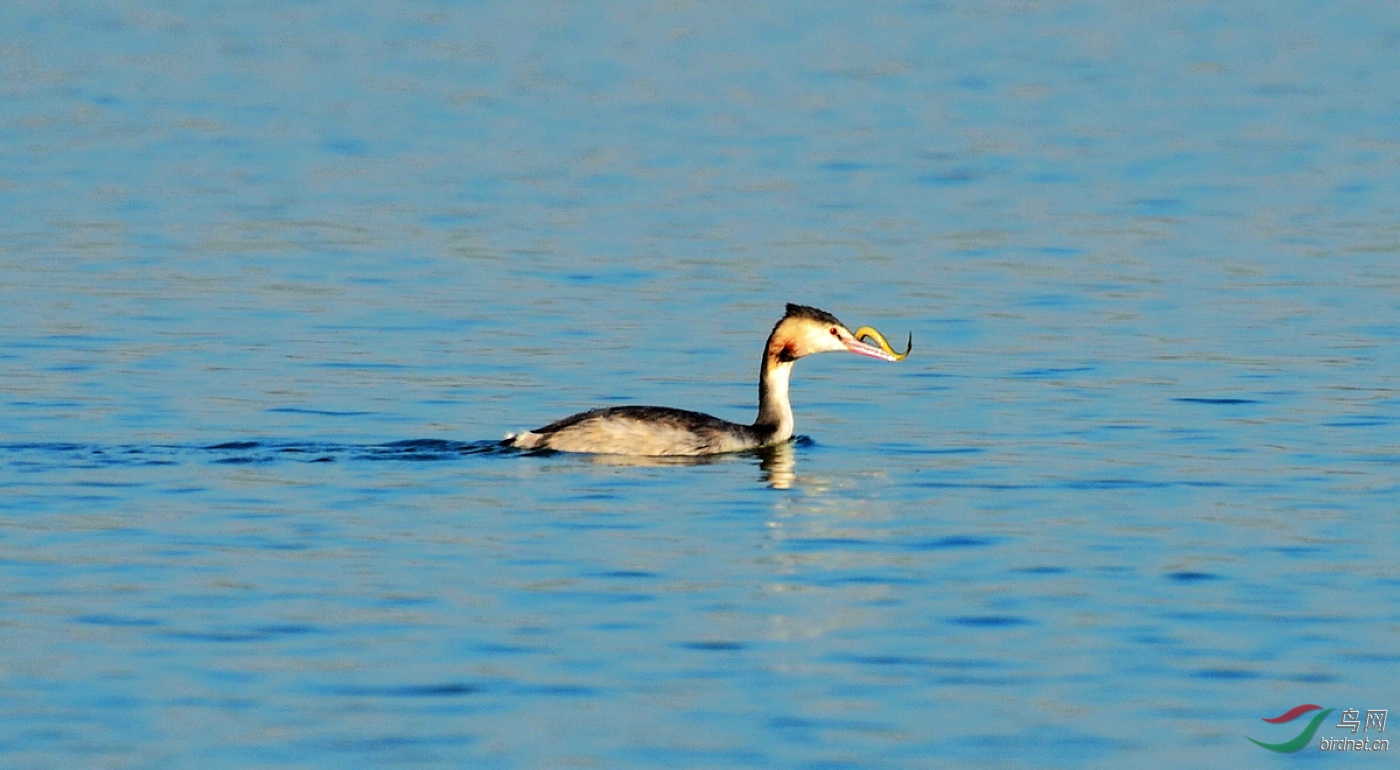 DSC_2321.JPG