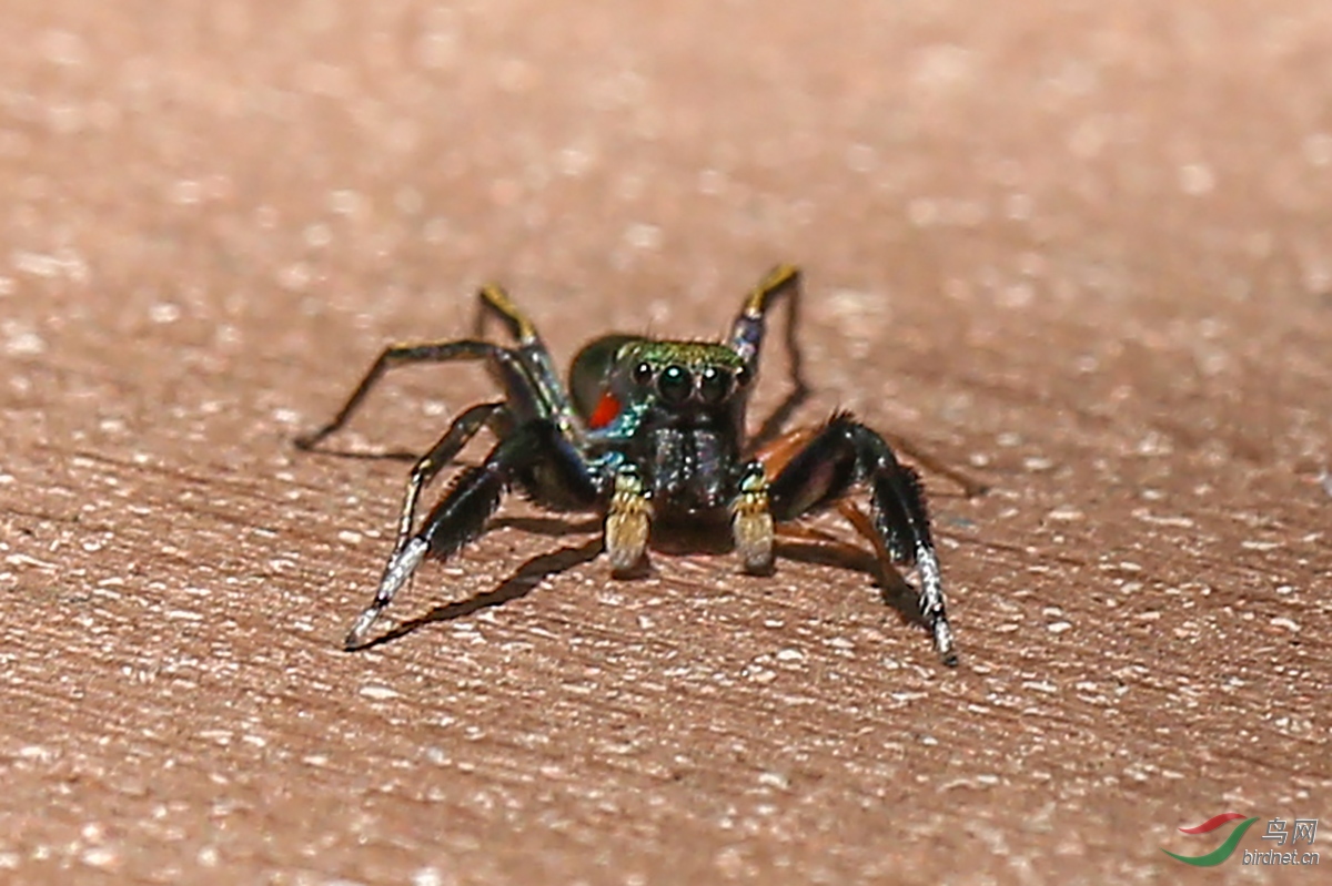 1C6A9226.jpg