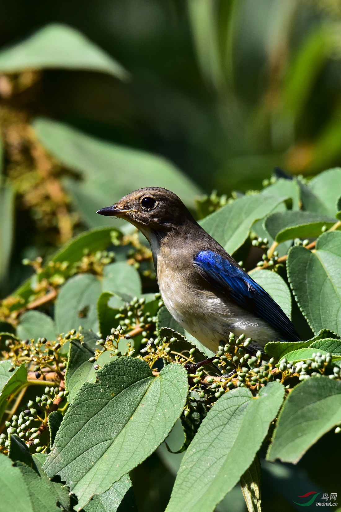 DSC_0789.JPG