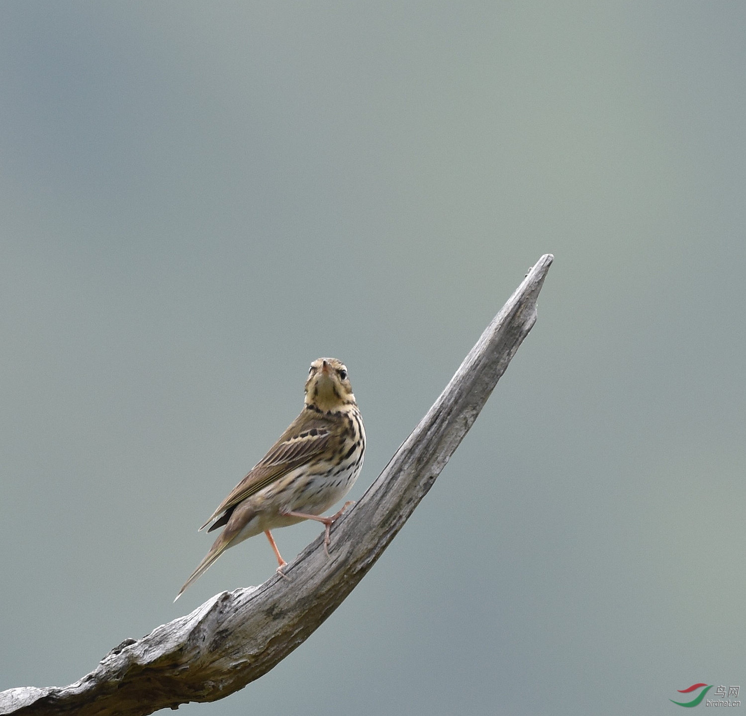 D8I_5062.jpg