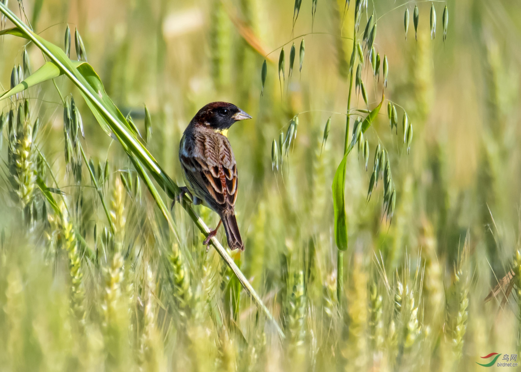 DSC_5619.jpg