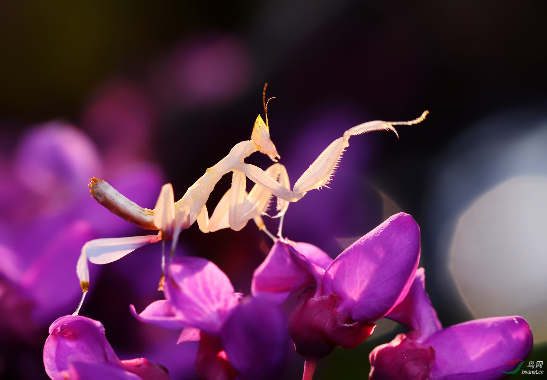 DSC_5011.JPG