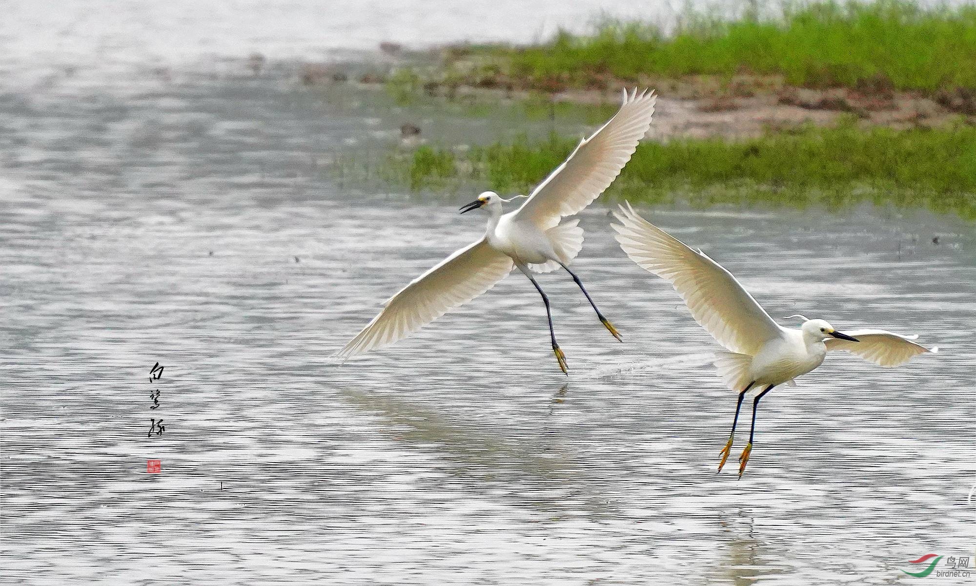 3 DSC05314_����_����.jpg