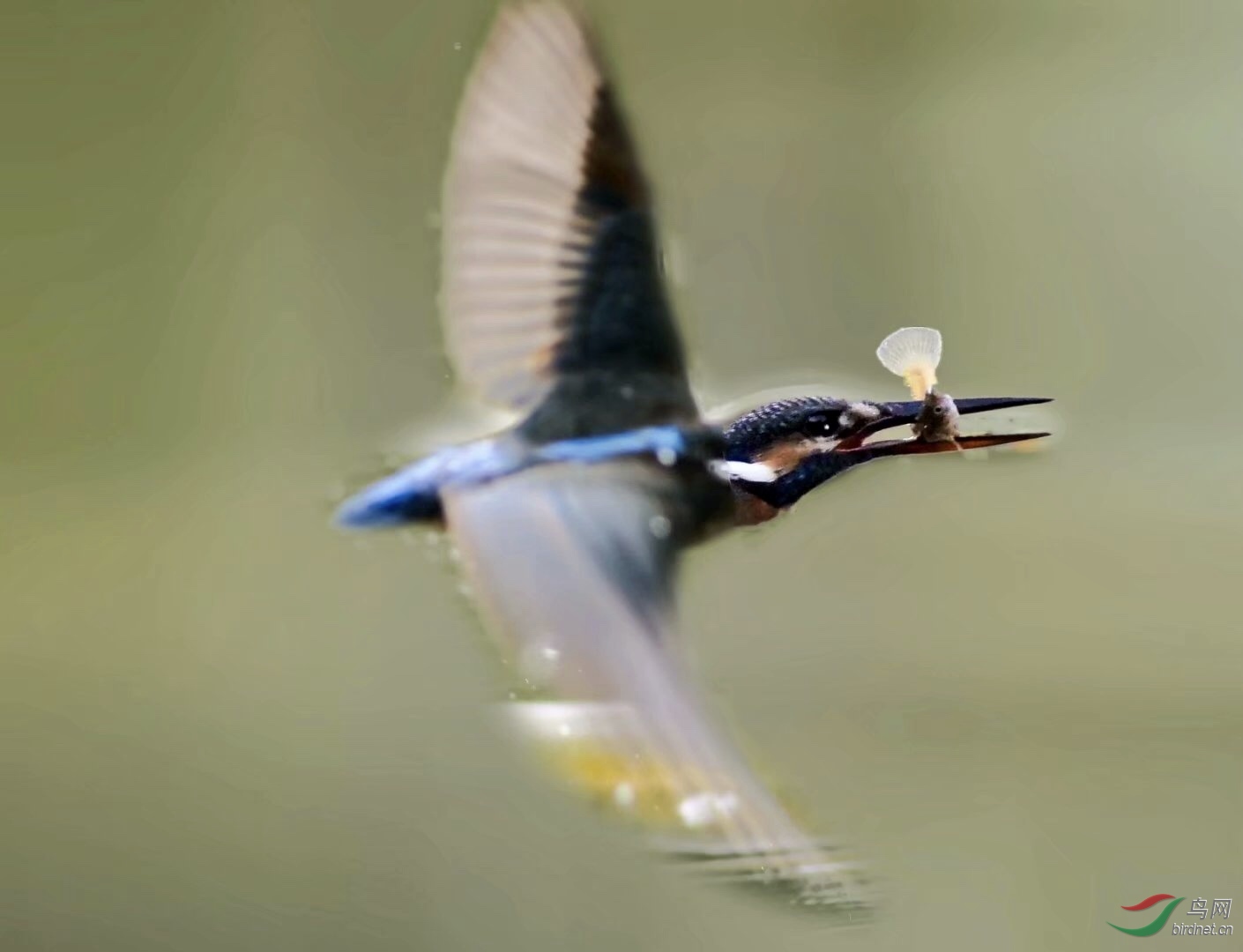 5B4980FF-23F2-48D3-868C-721031DF6053.jpeg