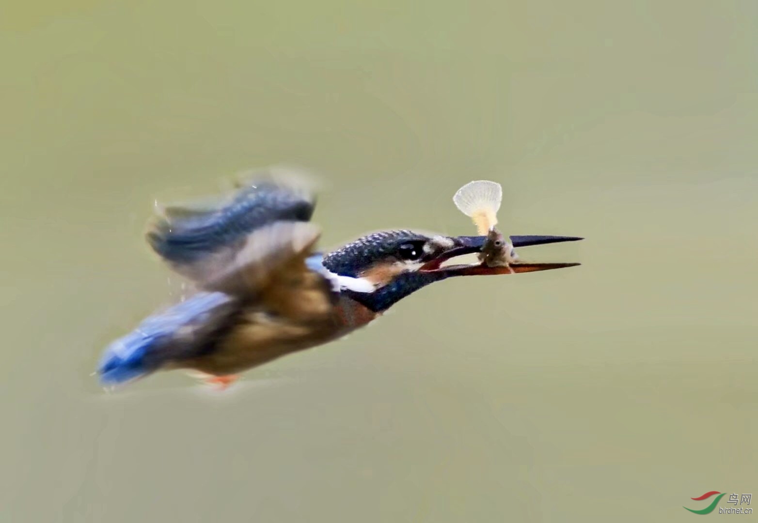 B8341C57-12D2-44D6-A753-448260B25994.jpeg