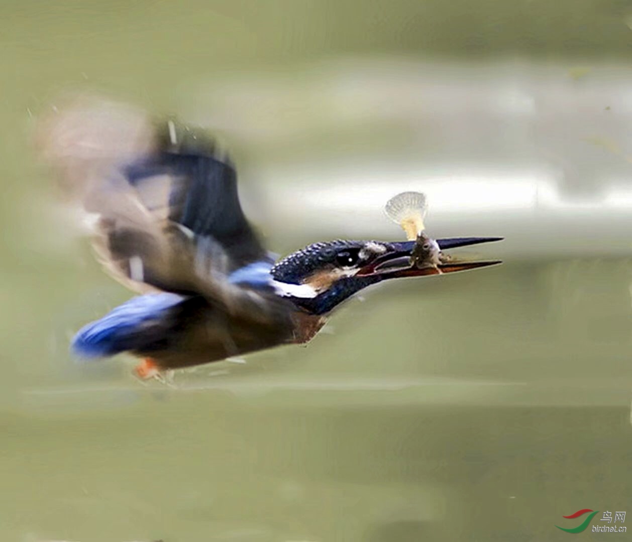 99A612BA-6E61-454F-8E7A-85F7B9081FAF.jpeg
