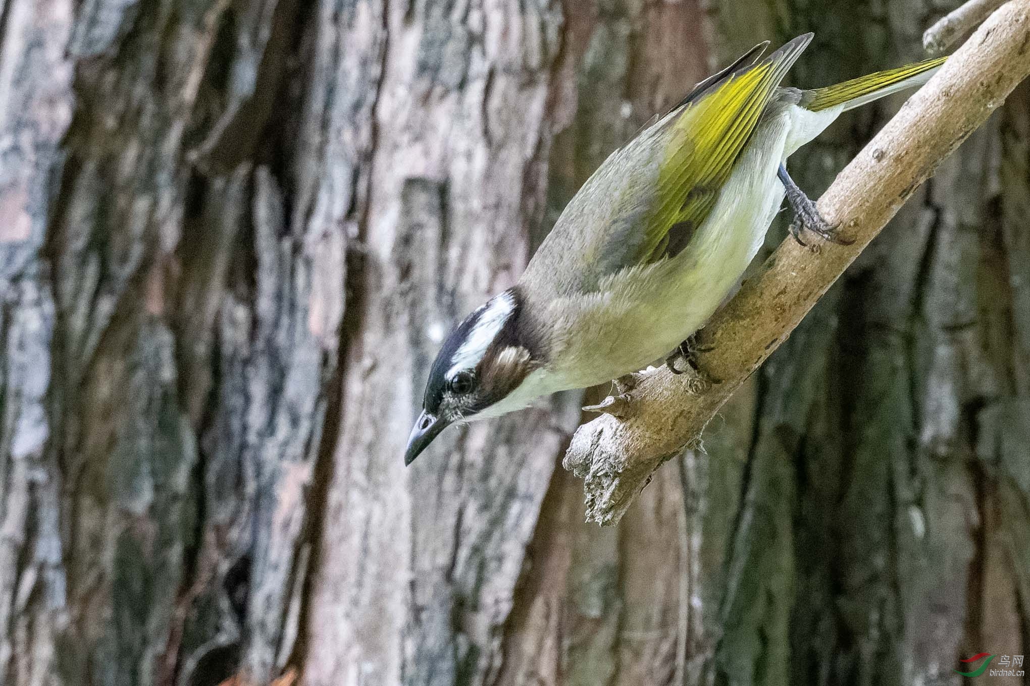 IMG_9748_DxO.jpg