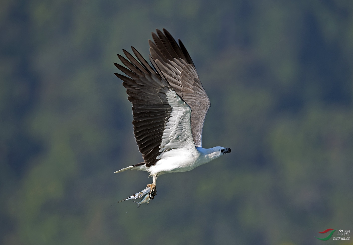 DSC_2963.jpg