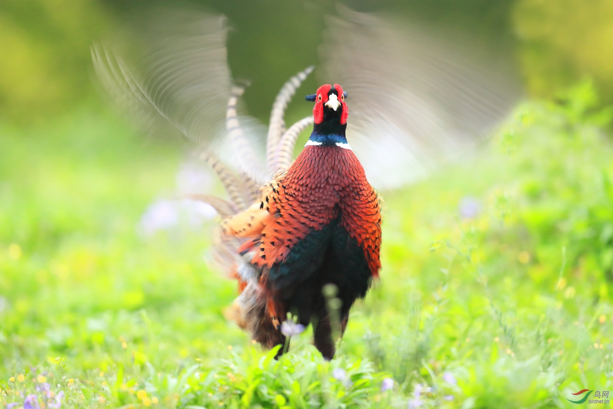 4 - ����.JPG